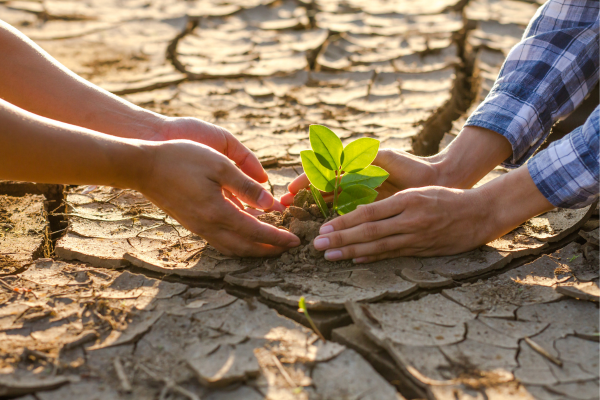 A Man-Created Warming of Mother Earth. - By Noor R. Rahim - eLanka