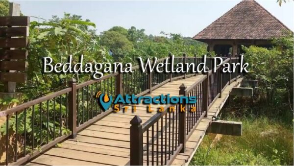 Beddagana Wetlend Park-eLanka 02