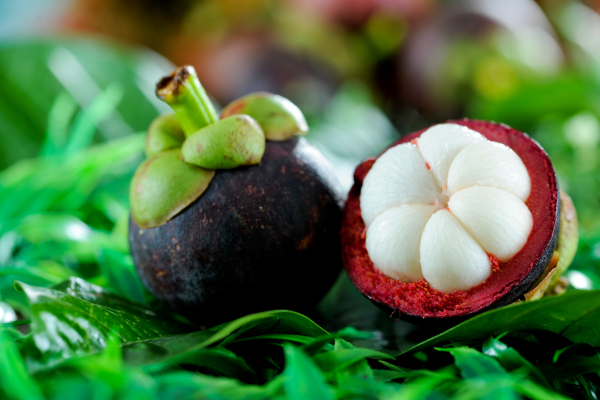 Mangosteen - eLanka