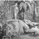 Big Game Hunting In Colonial Ceylon-eLanka