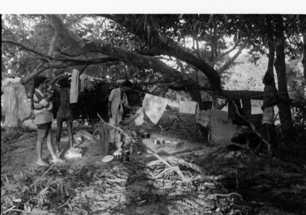 Mahavally Trip - by Jayantha Panditharatne - eLanka