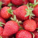 Strawberry-eLanka