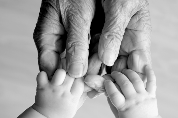 The Art of Living in the Present: Embracing Life Without Past or Future