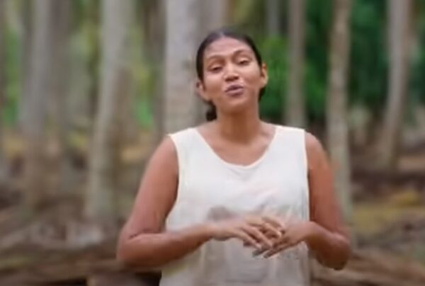 The Journey of a Coconut in Sri Lanka