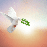 dove