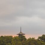 Buddhist Temple