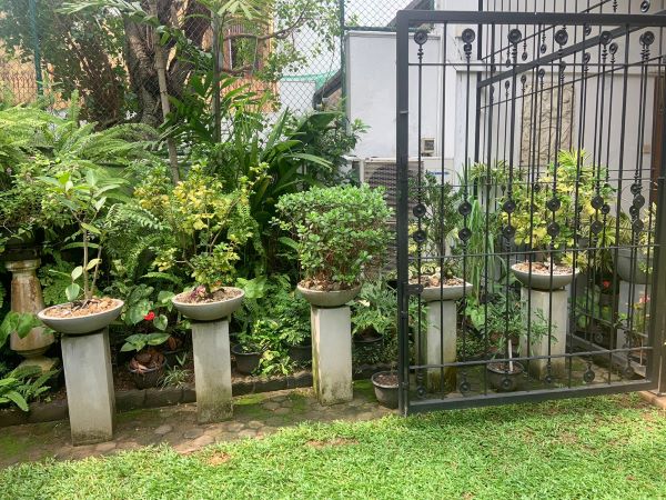 House For Sale Colombo-8 - Sri Lanka