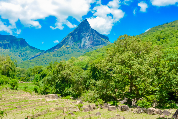 Knuckles Mountain
