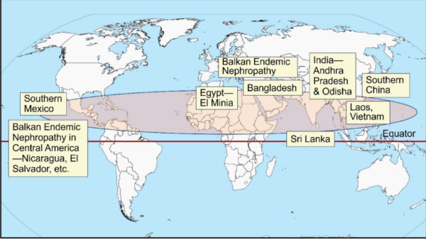 Nanocrystal-induced chronic tubular-nephropathy in tropical countries diagnosis, mitigation, and eradication