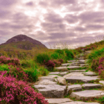 Path to Happiness