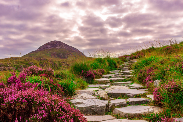 Path to Happiness