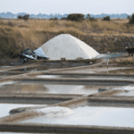 SALTERNS