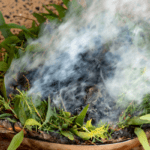 Australian Aboriginal Ceremony,