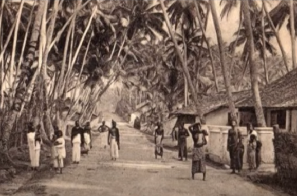 100 years ago Sri Lankan Life