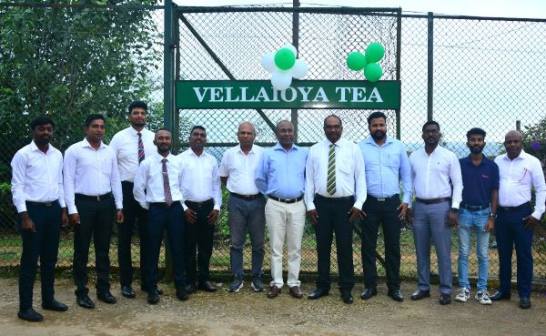 Hatton Plantations Stepped to the New Era of Digitalization with IHARVEST
