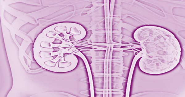 KDAP 8th Report July - December 2023