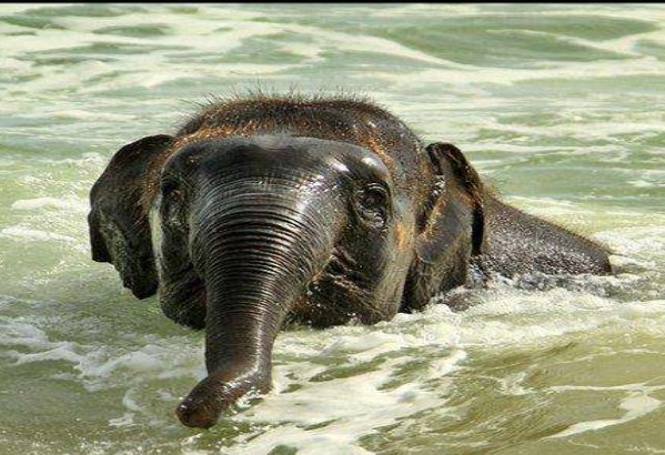 TRAVEL TASTES & TIPS for LANKA-eLanka