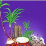 Thai Pongal-eLanka