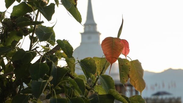 Varana Rajamaha Vihara-eLanka