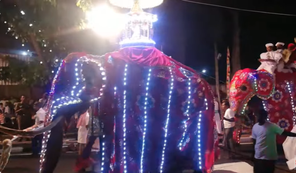 Gangaramaya Navam Maha Perahera 02
