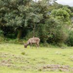 Horton Plains National Park-eLanka