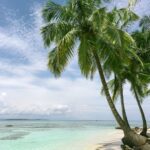 Wellawatte beach-eLanka