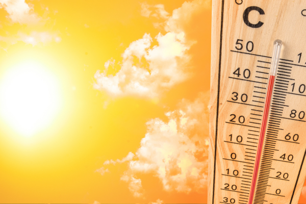 Hot Weather