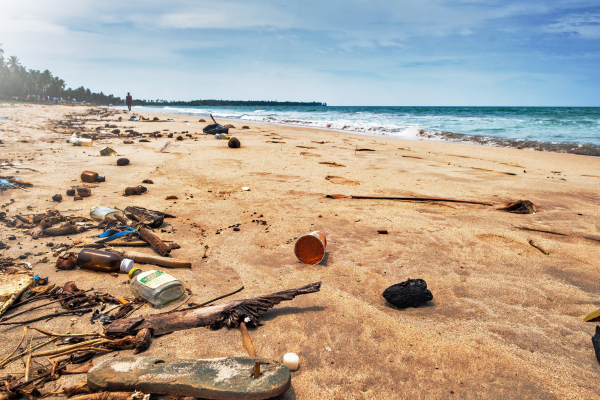 Microplastics 