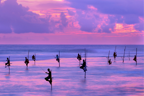 Sri Lanka's Fishing Industry