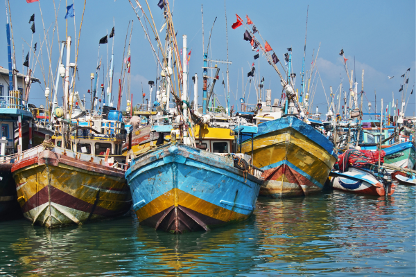 Sri Lanka's Fishing Industry (2)