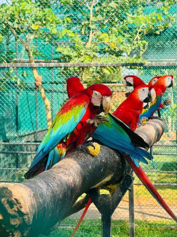 Bird Park Hambantota 03