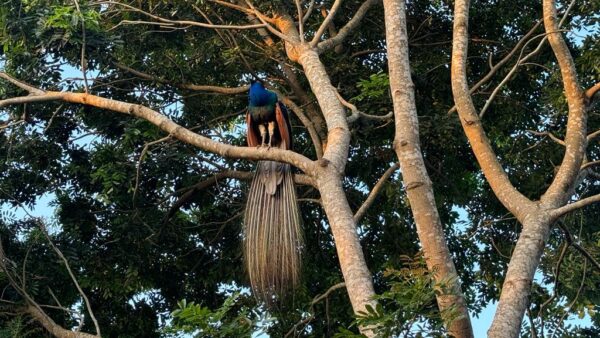 Bird Park Hambantota