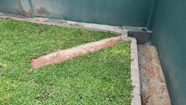 For Sale - 17 Perch Land & Greenhouse in Wijaya Mawatha, Athurugiriya