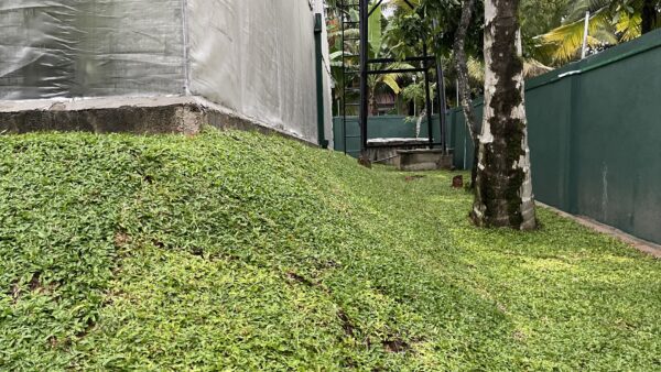 For Sale - 17 Perch Land & Greenhouse in Wijaya Mawatha, Athurugiriya