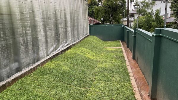 For Sale - 17 Perch Land & Greenhouse in Wijaya Mawatha, Athurugiriya