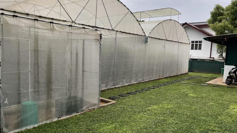 For Sale –  17 Perch Land & Greenhouse in Wijaya Mawatha, Athurugiriya