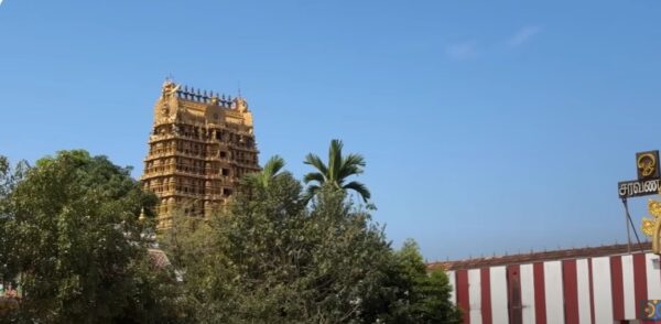 Fascinating Languages of Sri Lanka-eLanka