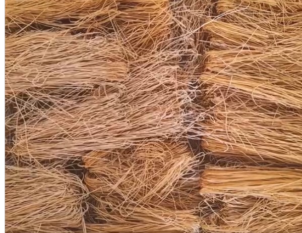 Noodles from Jackfruit-eLanka