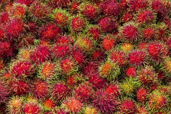 Rambutan