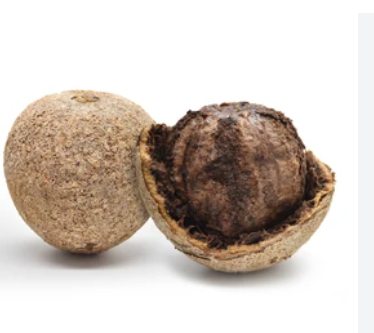 Wood Apple