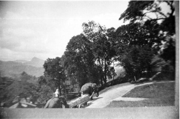 kandy
