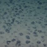 India strives for cobalt in contested ocean waters