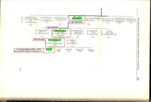 NILGALA FRONTIER – by Ranil Bibile