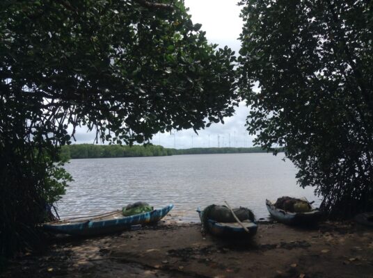 kadolana