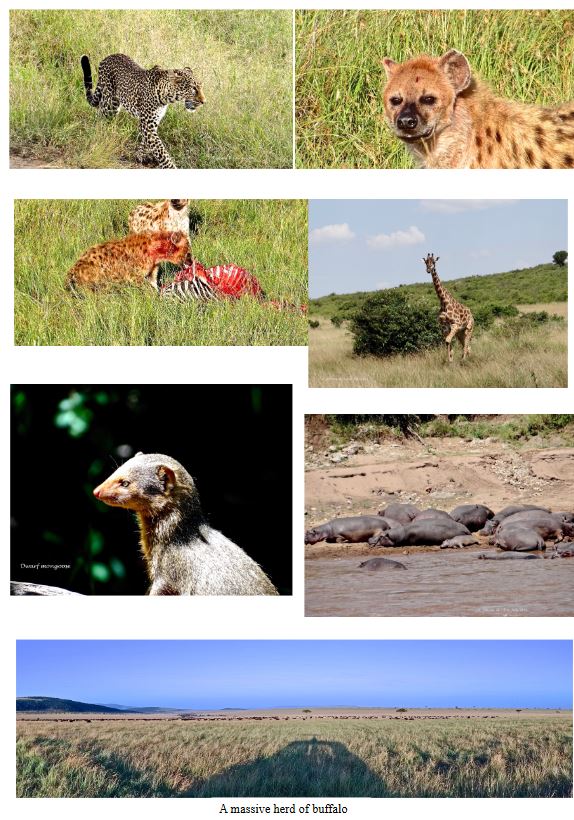 The flooded landscape of Lake Nakuru with water reflecting the sky