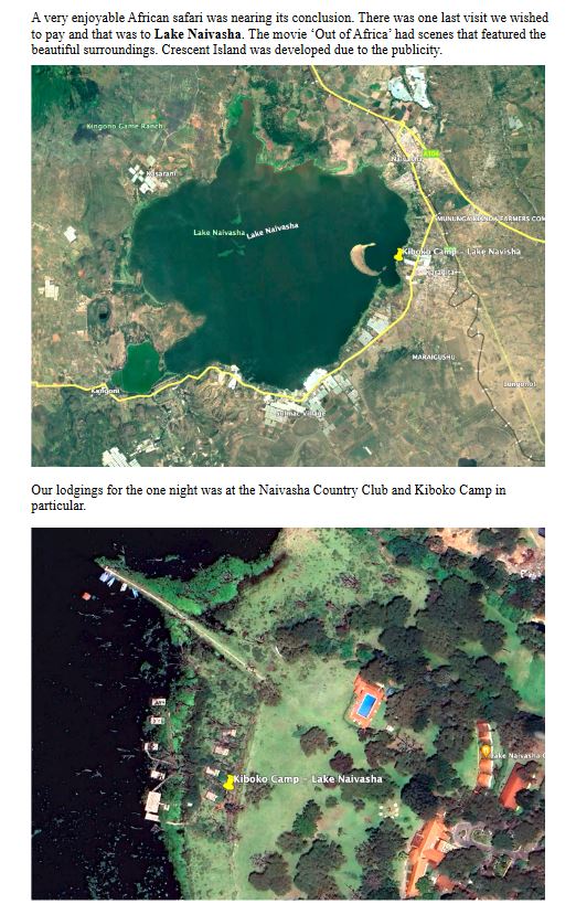 A pride of lions feasting on a kill at an airfield in Amboseli National Park