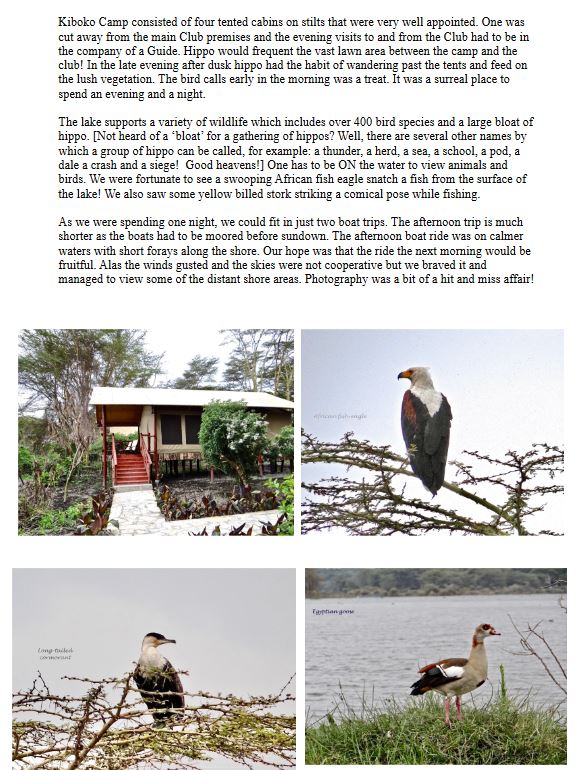 View of Mount Kilimanjaro partially obscured by clouds in Amboseli National Park.