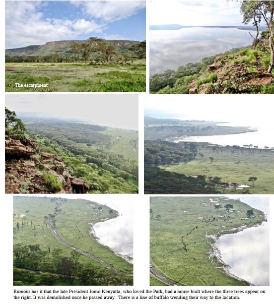 OUR AFRICAN SAFARI IN 2012