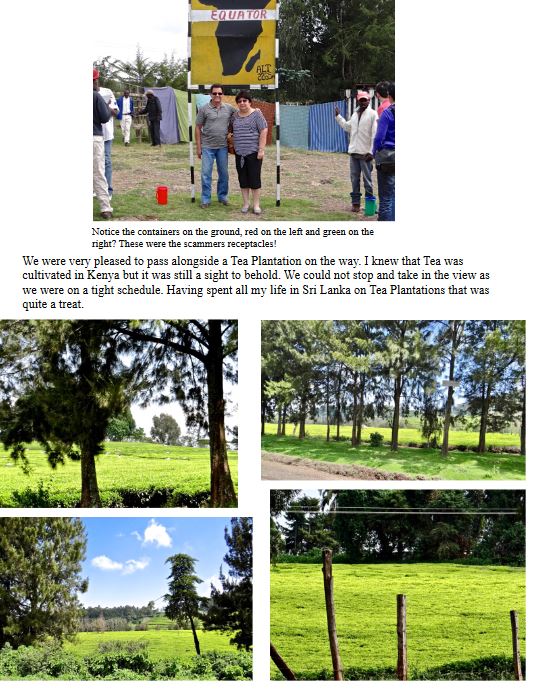 Flamingos feeding in the waters of Lake Nakuru