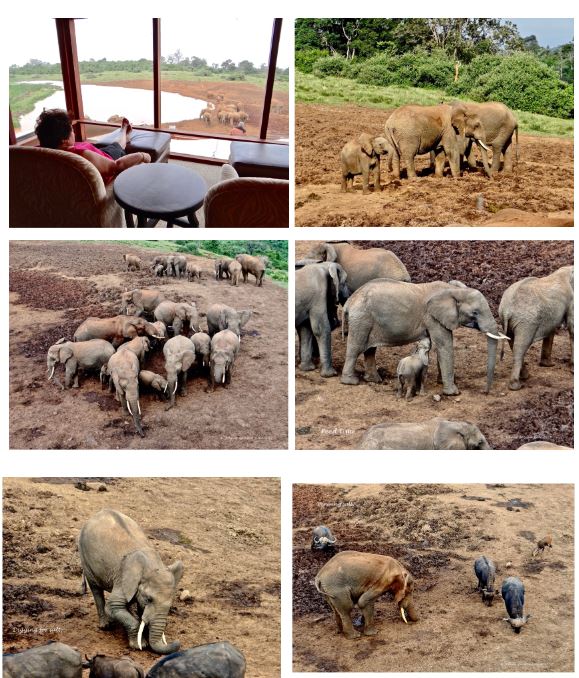Visitors enjoying a meal at the Sentrim Camp dining area.